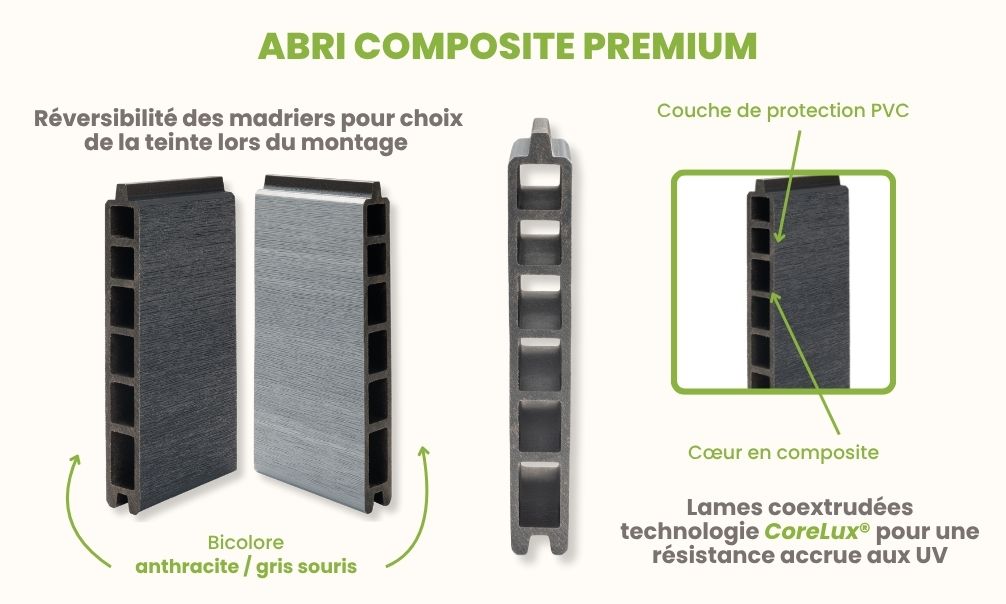 Abri de jardin composite Aulnay, toit 2 pentes, 5.80x2.9m, 16.82m2 ........... Abri de jardin composite Aulnay, toit 2 pentes, 5.80x2.9m, 16.82m2 – Image 4